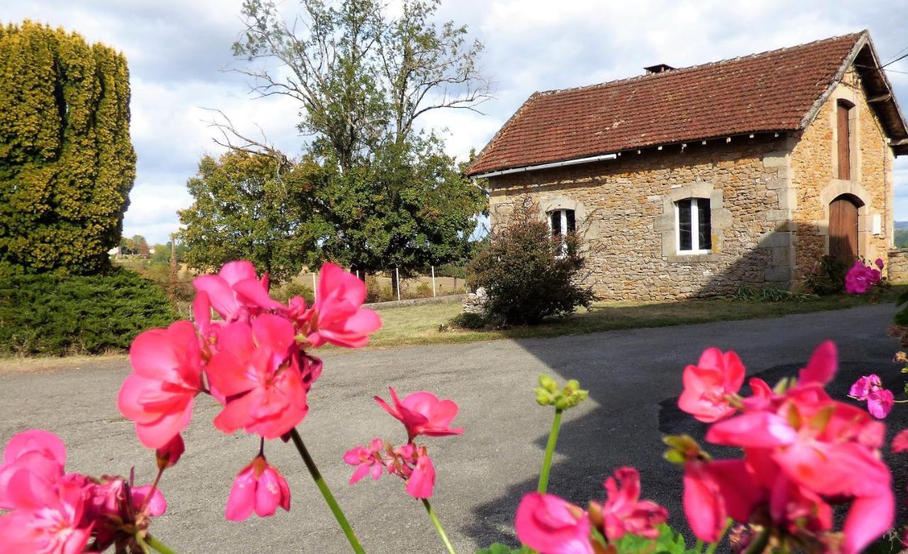 Les Hauts De Malirat Capdenac-Gare Bagian luar foto